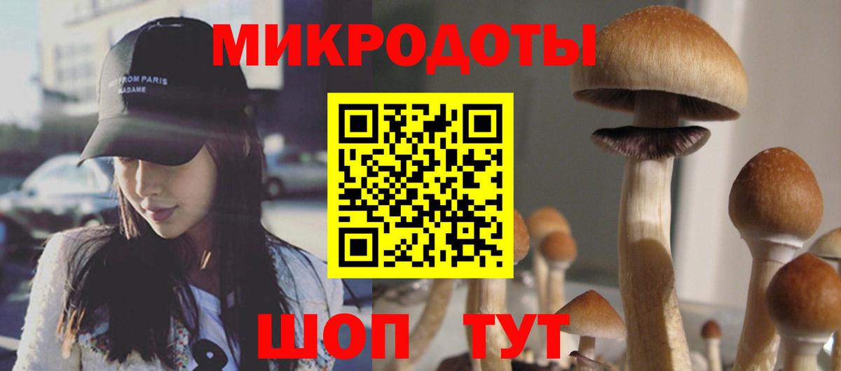 Звенигород  где найти наркотики  Вход с VPN  Псилоцибиновые грибы прущие грибы 